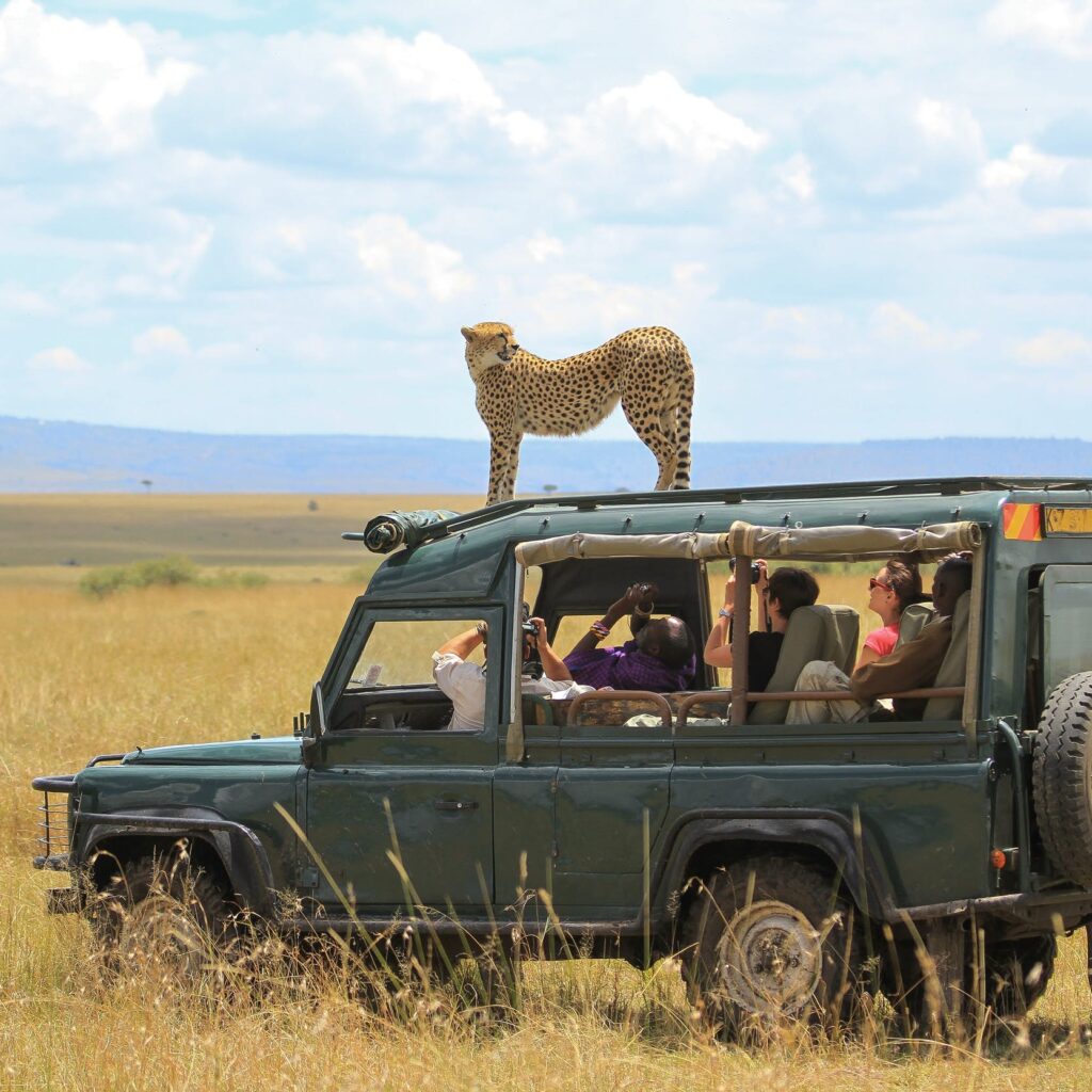 Game drive in Masai- Mara