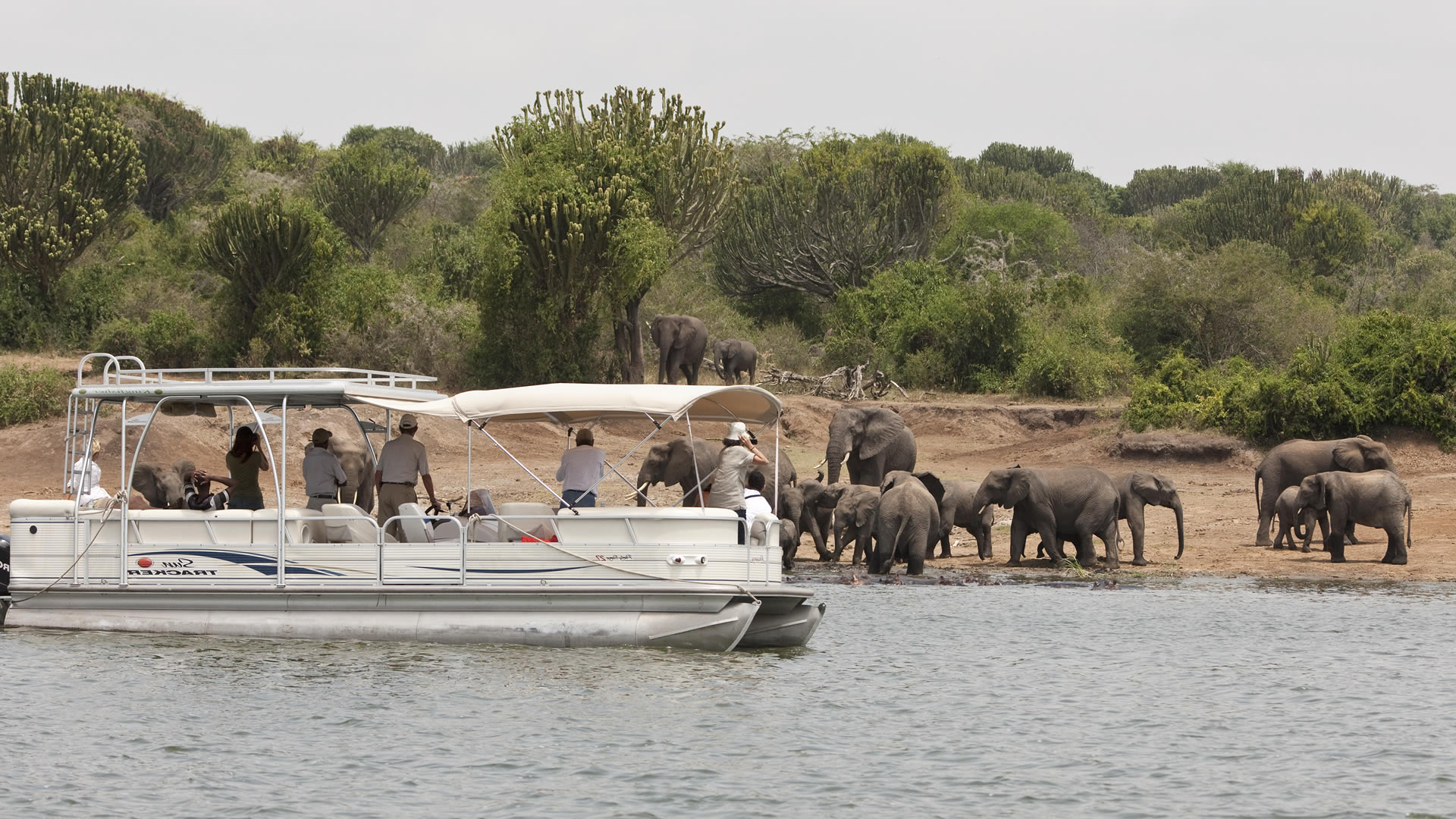 queen elizabeth national park