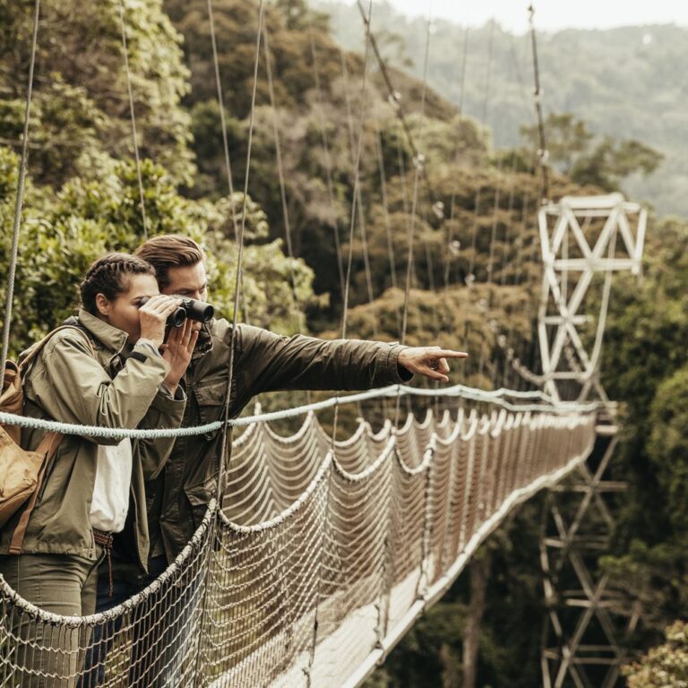 canopy walk- Nyungwe