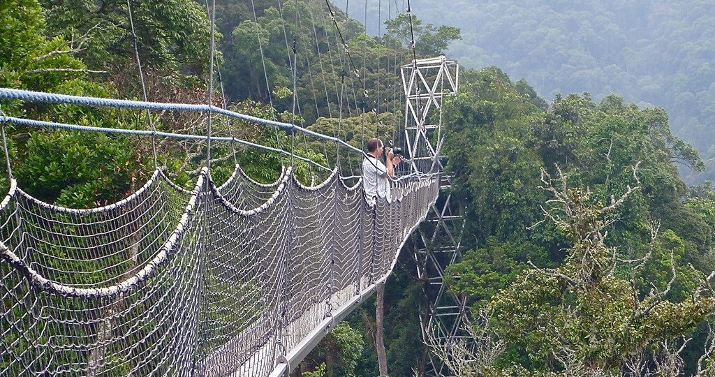 Nyungwe Canopy walk
