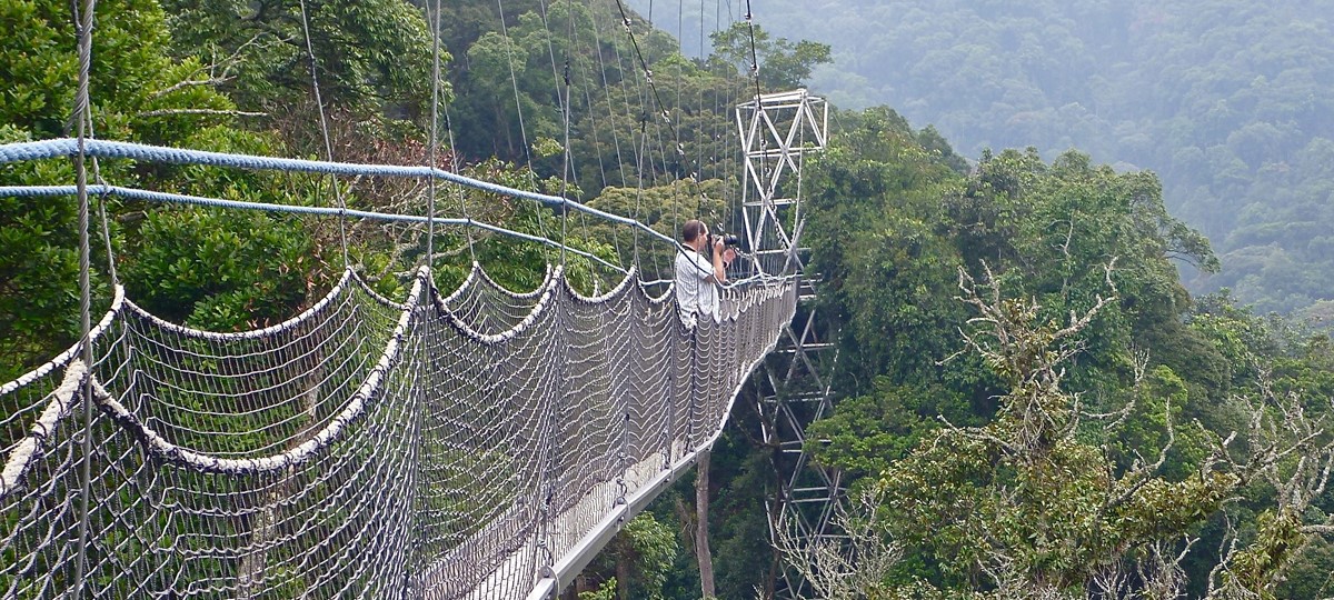Nyungwe Canopy walk