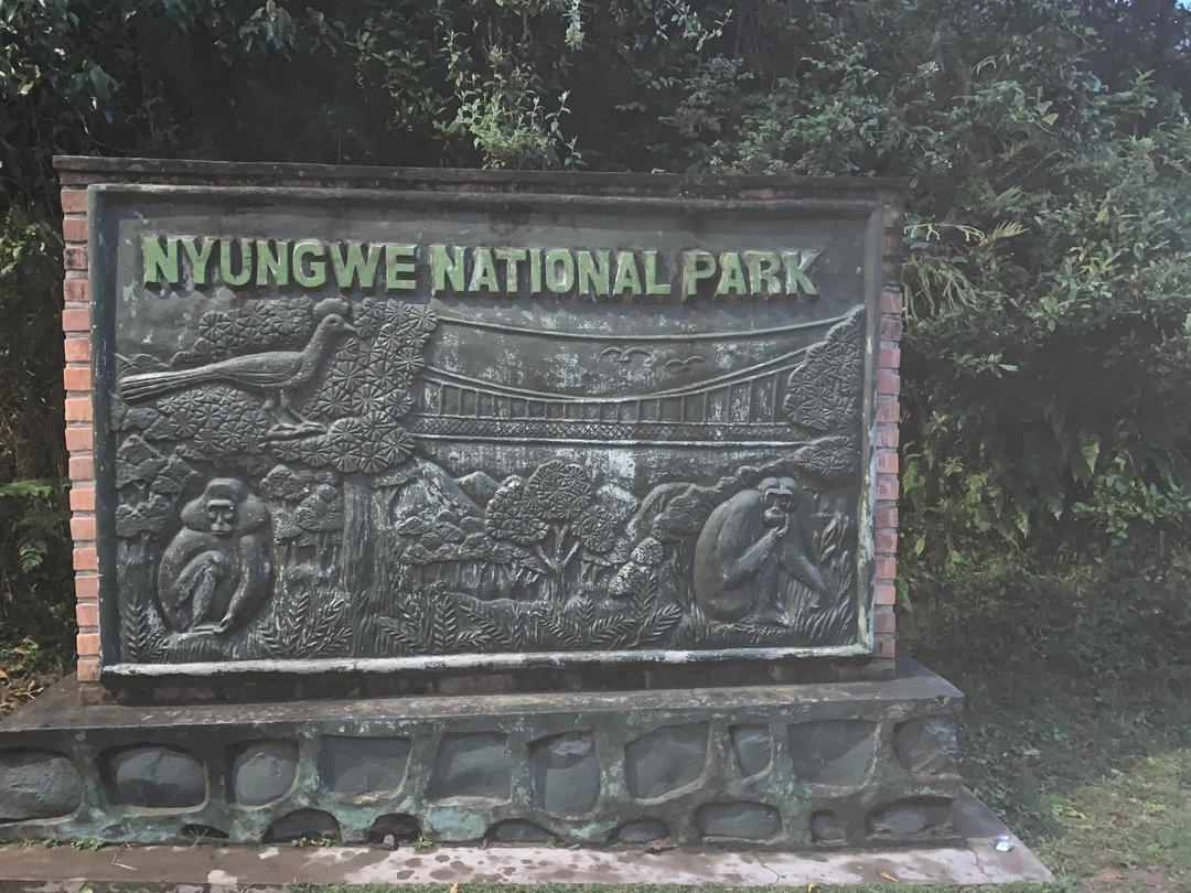 Nyungwe National Park