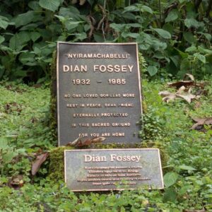 Dian Fossey