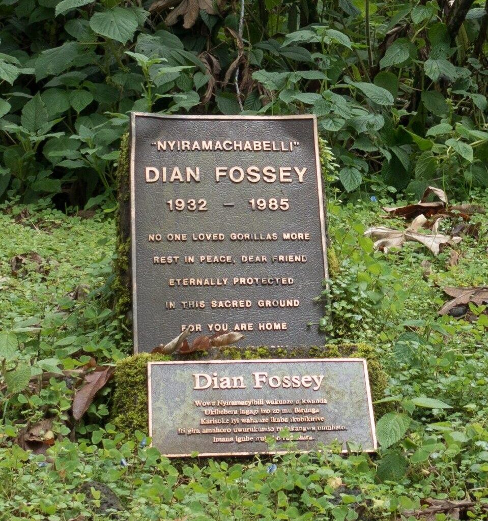 Dian Fossey Rwanda 2 Dian Fossey