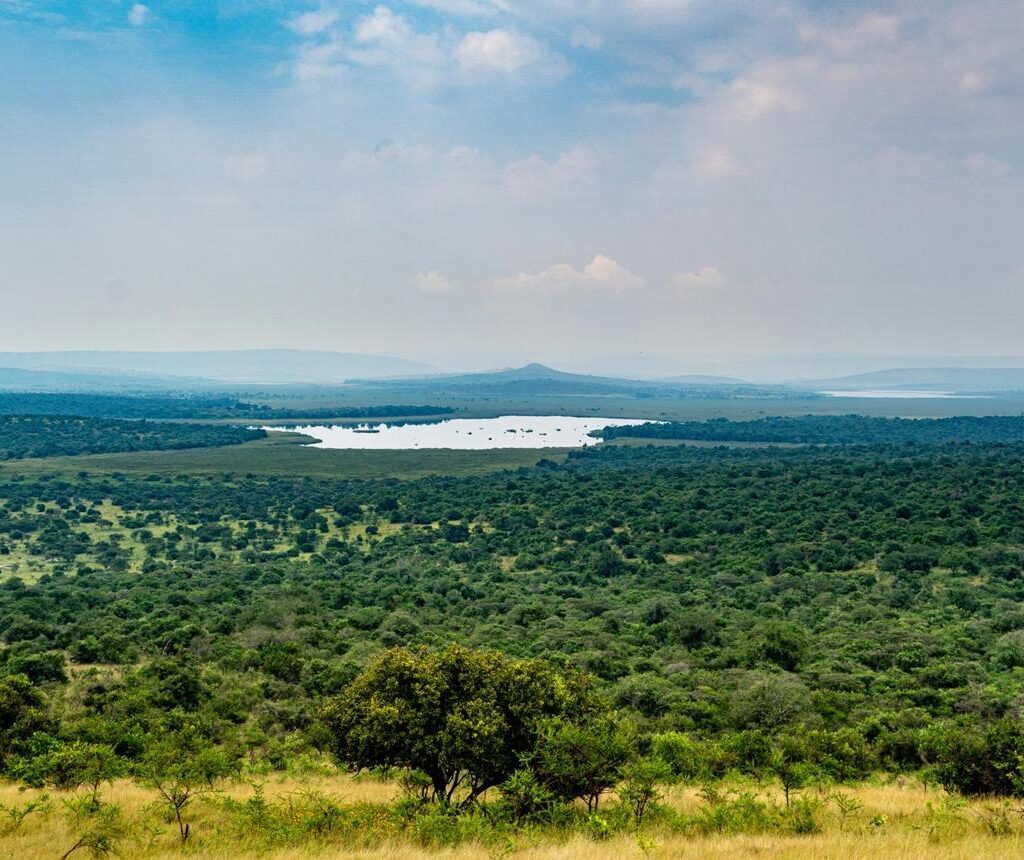 Lake Mburo National Park