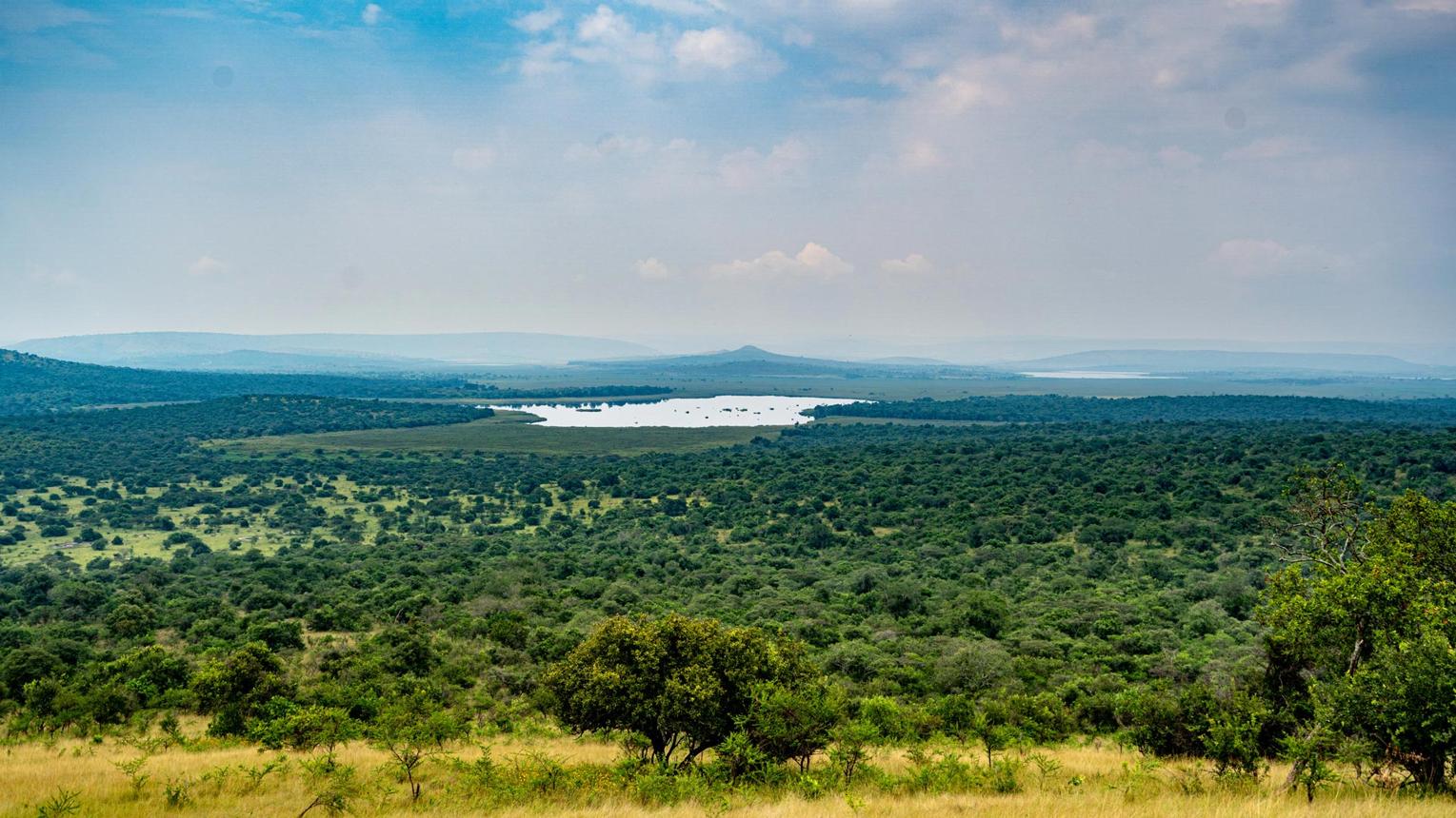 Lake Mburo National Park