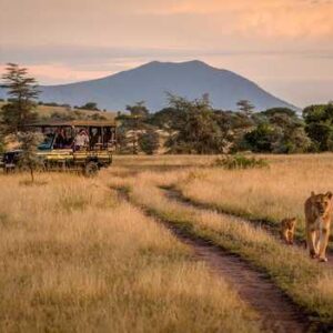 Big Five Safari in Tanzania