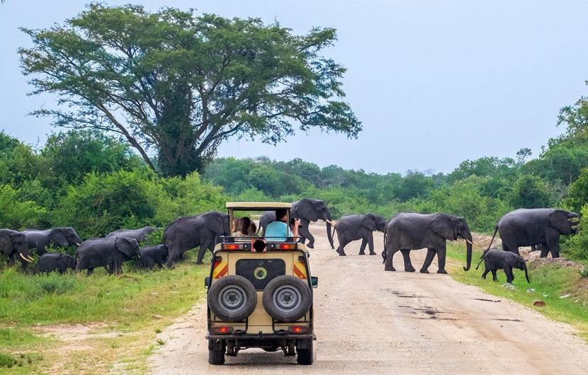 How much does a Uganda safari cost in 2026