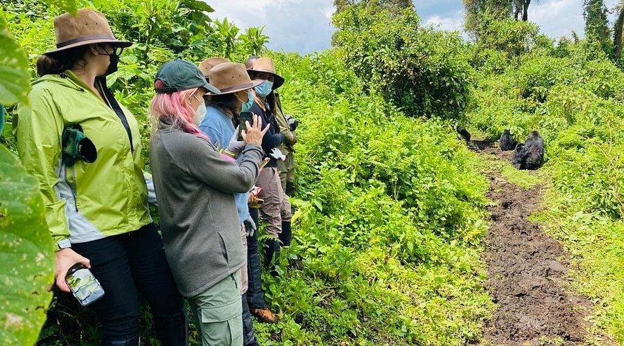 gorilla trekking in Rwanda