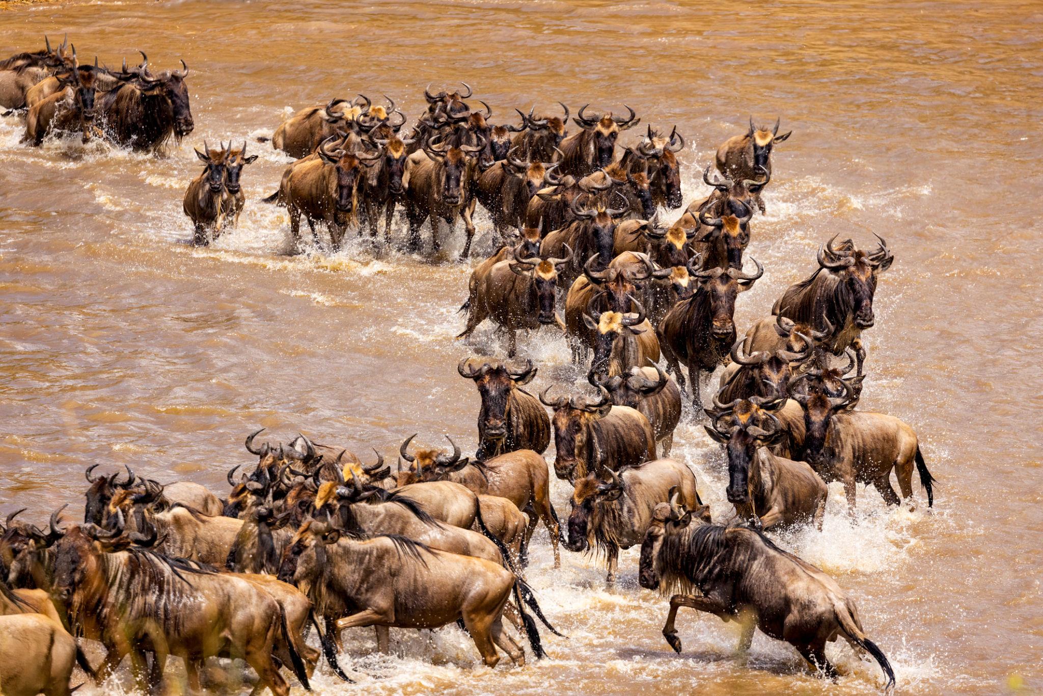 Best Time To Visit Tanzania