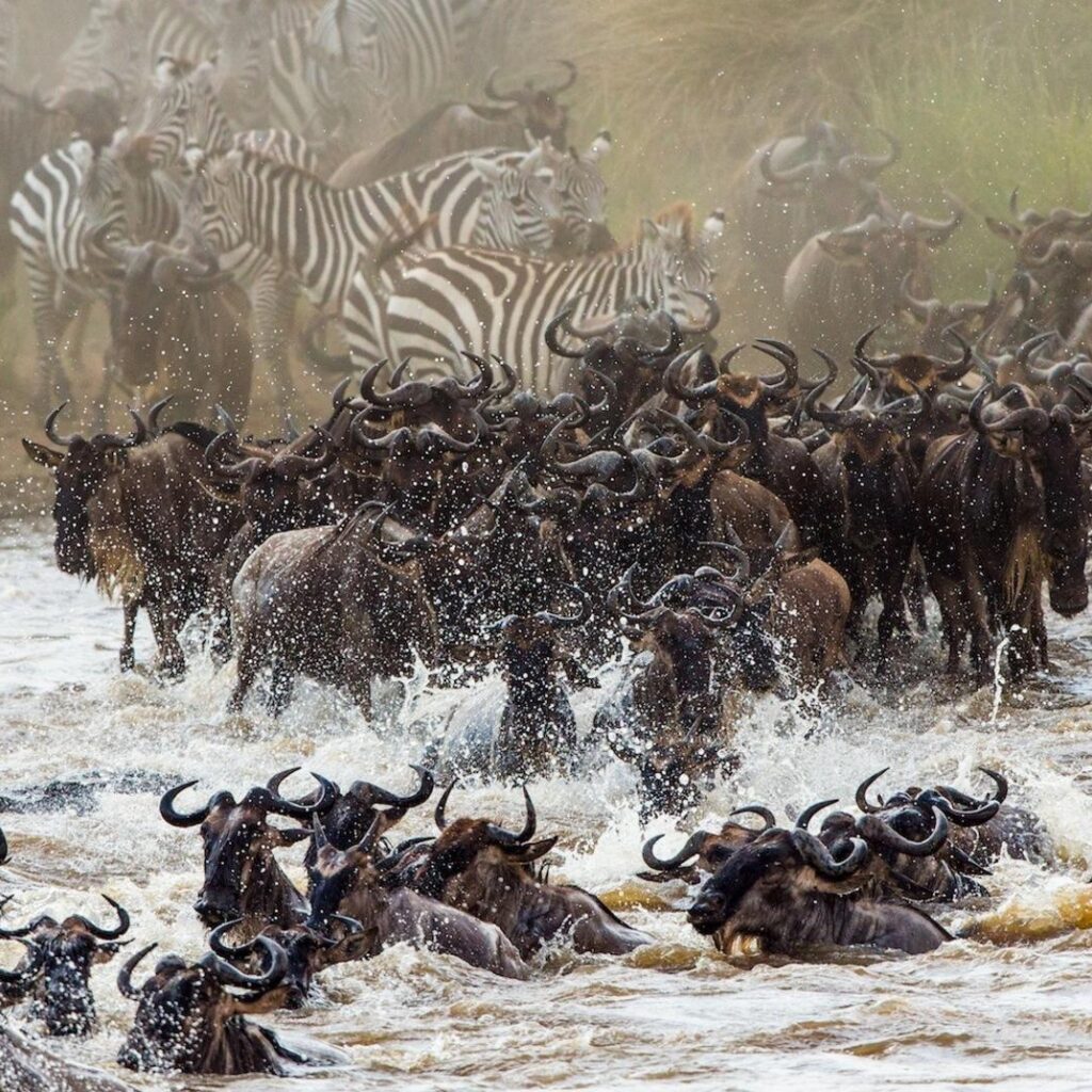 Best Time to Visit Tanzania