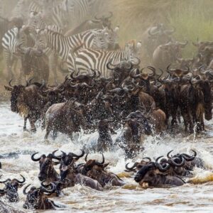 Best Time to Visit Tanzania