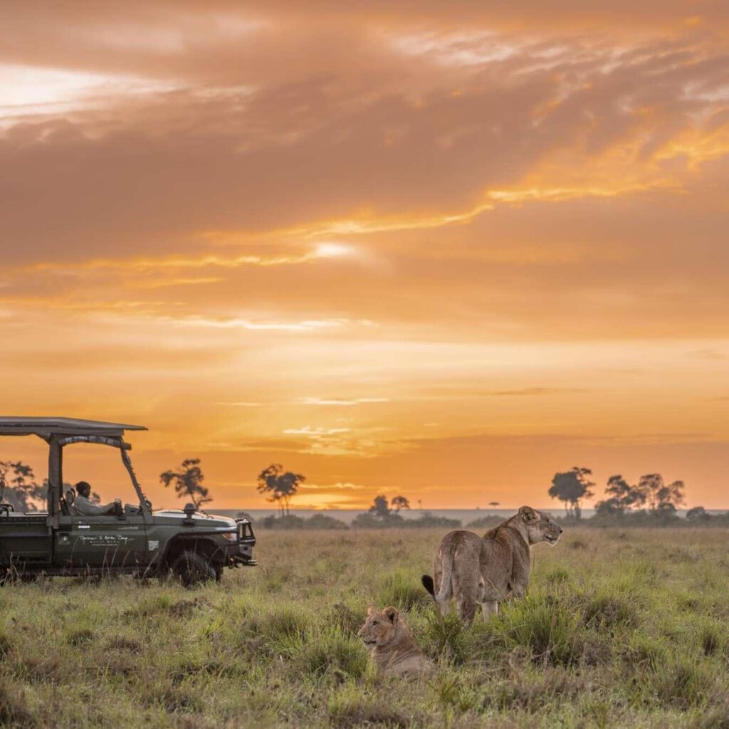 Maasai Mara Safari