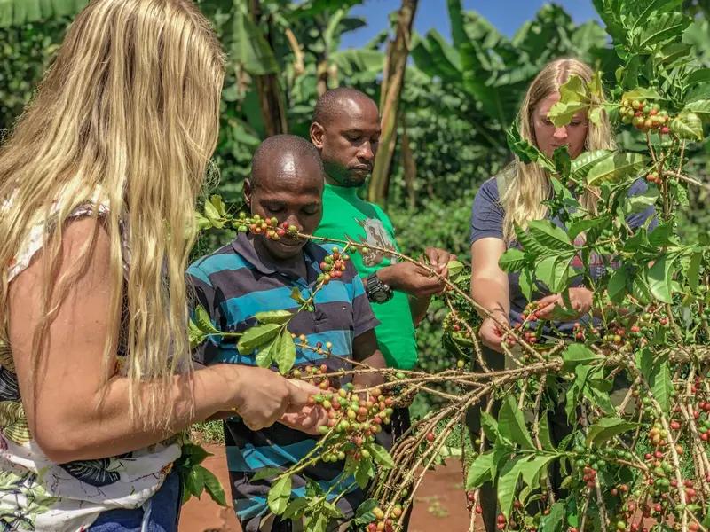 Mount Elgon National Park 8 Mount Elgon National Park