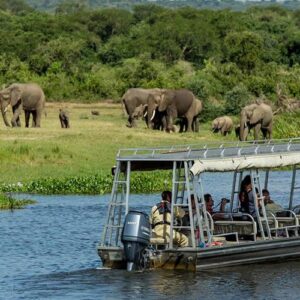 Murchison Falls National Park