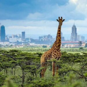 Nairobi National Park
