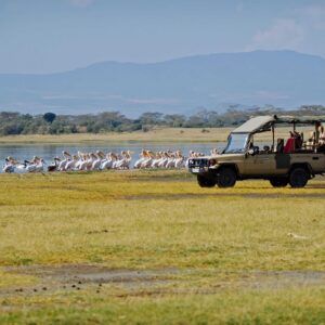 Lake Nakuru National Park