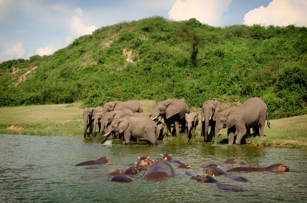 Queen Elizabeth National Park